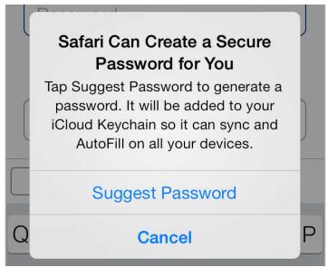 APPLE 6 - Privacy and security - 1