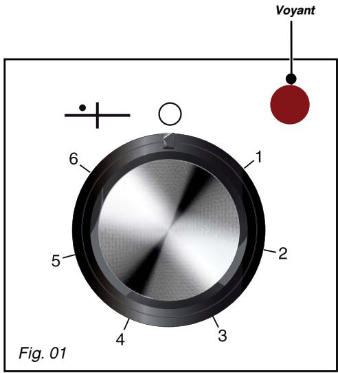 DE DIETRICH DTE1111X - Attention - 1