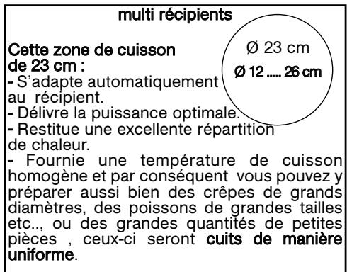 SAUTER SPI4664B - Sécurité "casserole vide - 1