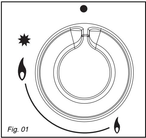 SAUTER SPI4664B - Conseil - 1