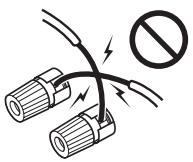 ONKYO TX-NR1010 - Speaker Connection Precautions - 1