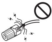 ONKYO TX-NR1010 - Speaker Connection Precautions - 3