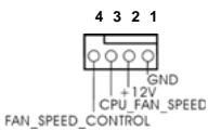 ASROCK G31M-GS - IDE conector primario (Azul) - 13