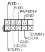 ASROCK G31M-GS - IDE conector primario (Azul) - 10