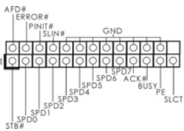 ASROCK G31M-GS - IDE conector primario (Azul) - 4