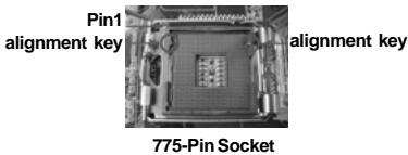 ASROCK G31M-GS - CPU Installation - 7