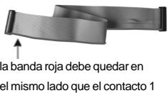 ASROCK G31M-GS - Conector de disquetera - 2