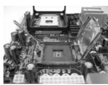 ASROCK G31M-GS - CPU Installation - 4