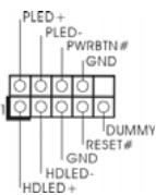 ASROCK G31M-GS - Collettori e Connettori su Scheda - 20