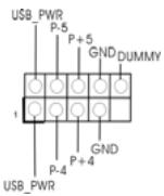 ASROCK G31M-GS - Integrierte Header und Anschlüsse - 10