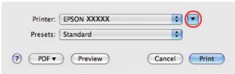 EPSON B-510DN - Paramètres de l'imprimante sous mac OS x 10.5 - 1