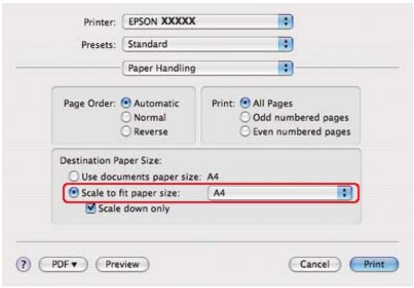 EPSON B-510DN - Paramètres de l'imprimante sous mac OS x 10,4 - 3