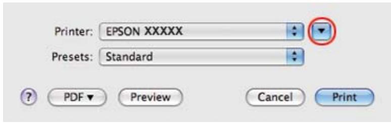 EPSON B-510DN - Paramètres de l'imprimante sous mac OS x 10.5 - 1