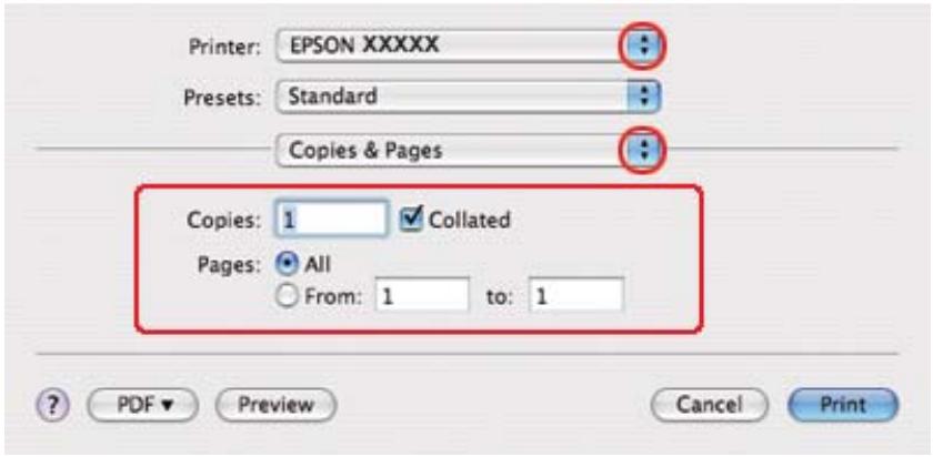 EPSON B-510DN - Paramètres de l'imprimante sous mac OS x 10,4 - 2