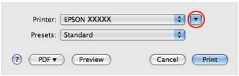 EPSON B-510DN - Paramètres de l'imprimante sous mac OS x 10.5 - 1