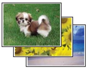 EPSON B-510DN - Impression de photos - 1