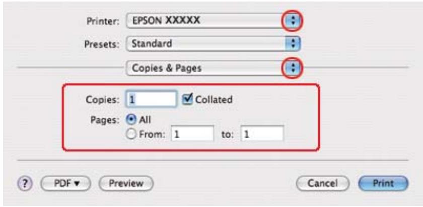 EPSON B-510DN - Paramètres de l'imprimante sous mac OS x 10.3 ou 10.4 - 2
