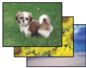 EPSON EXPRESSION PREMIUM XP-800 - Impression de photos avec easy photo print - 1