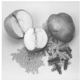 PANASONIC NN-CD560 - PIERCING - 1