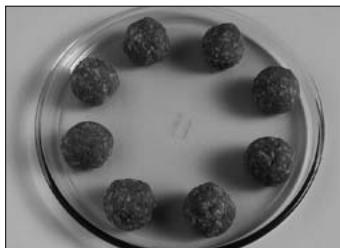 PANASONIC NN-CD560 - ARRANGING - 1