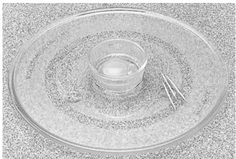 PANASONIC NN-CD560 - Layered Chicken Puff - 1