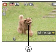 PANASONIC LUMIX DMC-SZ1EF - AF-sporingsramme - 1