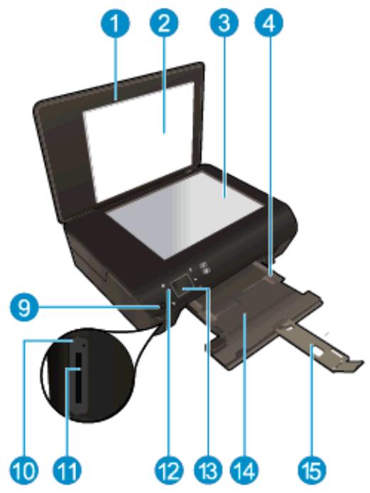 HP ENVY 5534 - Printer parts - 1