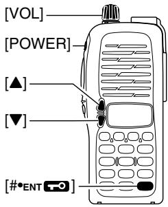 ICOM IC-V8 - Entering INITIAL SET MODE - 1