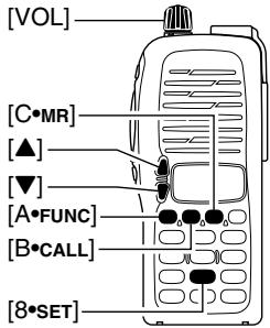 ICOM IC-V8 - Clearing a memory - 1