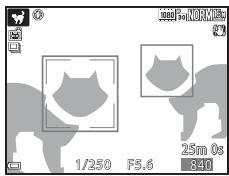 NIKON COOLPIX P610 - Zone demise au point - 1