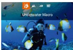 CANON POWERSHOT G7 X - Shooting with an Underwater Focusing Range - 3