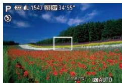 CANON POWERSHOT G7 X - Shooting in Program AE ([P] Mode) - 1