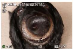 CANON POWERSHOT G7 X - Choose [a]. - 1
