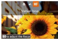 CANON POWERSHOT G7 X - Shooting in Manual Focus Mode - 3