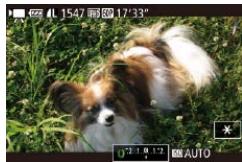 CANON POWERSHOT G7 X - Locking or Changing Image Brightness before Shooting - 3