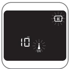 ROWENTA GOURMET XL OC7868 30 - 1·Automatic Keep Warm - 2