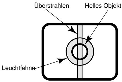 PANASONIC WV-CW384E - Das Gerät nicht auf helle Lichtquellen richten. - 1