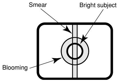 PANASONIC WV-CW384E - Do not aim this product at strong light sources. - 1