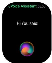 CRYSTALFIT SWA-190FC - Assistant vocal - 2