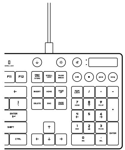 LOGITECH G305 - Tips: - 1