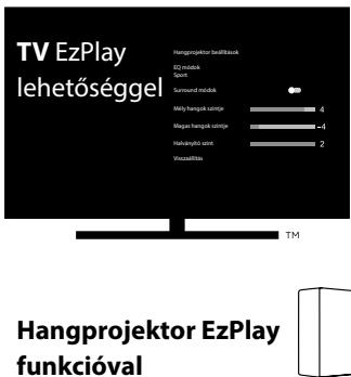 HISENSE HS5100 - A Hisense EzPlay funkció használáterra - 2