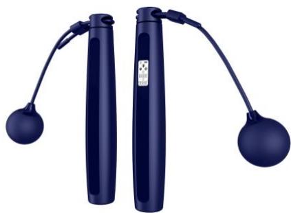 LITTLE BALANCE LB8682 Jump USB - Mode d'emploi - 1