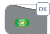 CALOR Pro Express Eco - GV9E20C0 - THANK YOU! - 24