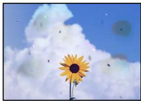 EPSON XP-3205 - Problèmes relatifs aux images numérisées - 1