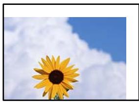 EPSON XP-3205 - La position, le format ou les marges de la copie sont incorrects - 1