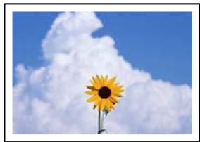 EPSON XP-3205 - Solutions - 1