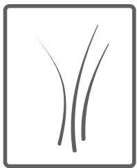 BELLAVITA LF 1207 BCNVT - Tambour - 11