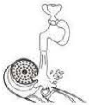 BE YOU BV1 - Reinigung - 1