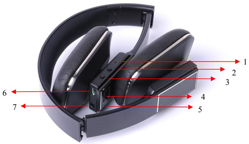 EDENWOOD BT100 - Boutons de fonction - 1