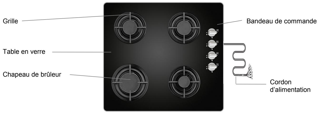 VALBERG VAL TGVF 4 NSC - DESCRIPTION DE L'APPAREIL - 1